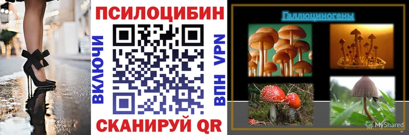 Галлюциногенные грибы Psilocybe  Купить  Суровикино 
